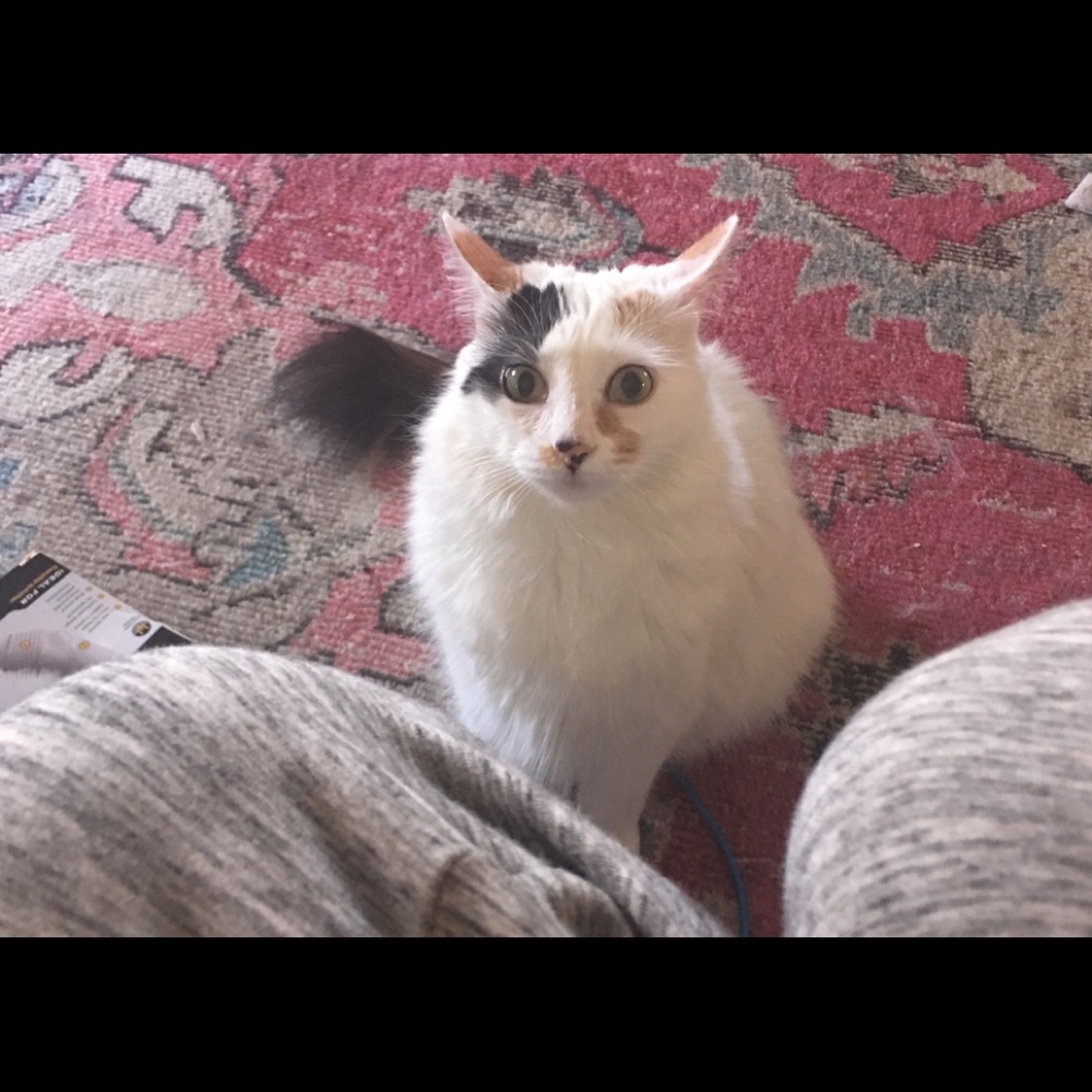 Meet your Posher, Mary